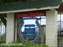 Pm rasmi program temuduga terbuka skim latihan 1malaysia (sl1m) 2018. National Stud Malaysia From Emily To You