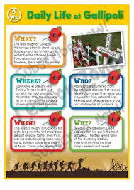 Daily Life At Gallipoli Anzac Day Remembrance Day Activities Remembrance Day