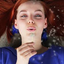 Stream Ticket To Ride