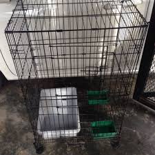 November 25, 2018 june 28, 2019. Sangkar Kucing Pet Supplies Pet Accessories On Carousell