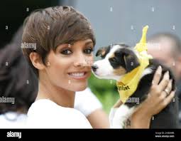 Dogs trust hi-res stock photography and images