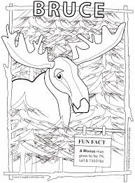 Mickey mouse andnnie in love within heart free disney printable valentines day coloring page home uncategorized stunning pages. Animal Coloring Pages Moose