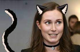 Finnish Trolls Tricked the Internet Into Believing Finland PM Sanna Marin  Was a Catgirl - Funny Gallery