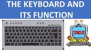 Computer keyboard is a device used to enter data and commands to a computer. Keyboard And Its Function Functions Of The Keyboard Basic Computer Computer Fundamentals Youtube