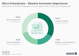 Chart Micro Enterprises Massive Economic Importance