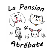 La Pension Atrébate