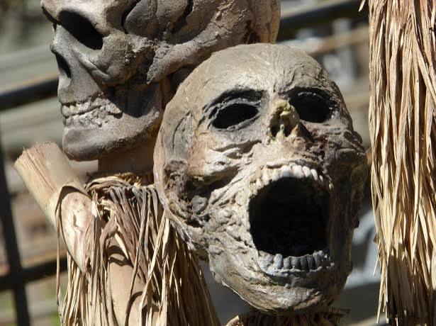 Screaming Skull Free Stock Photo - Public Domain Pictures