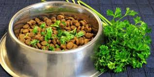 But, can cats eat grass? Is Parsley Good Or Bad For Dogs Can They Eat It Pet Care Advisors