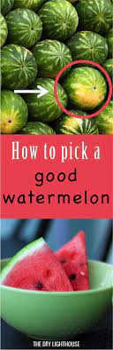 It isn't summer until you've had your first watermelon of the season. How To Pick Out A Good Watermelon The Diy Lighthouse Watermelon Cooking Tips Food Hacks