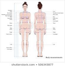Woman Body Diagram Photos 4 743 Woman Body Stock Image