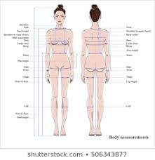 woman body diagram photos 4 743 woman body stock image