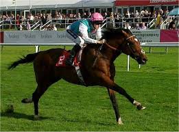 Check spelling or type a new query. Frankel Horse Wikipedia