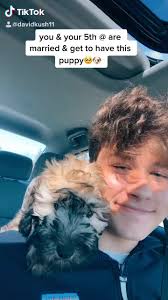 David Kushner Dog Missing