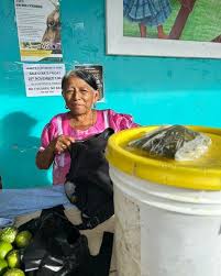 Image result for Nicolasia