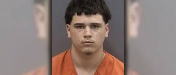 Hillsborough County man accused of murder after brutally attacking, robbing  woman in 2024