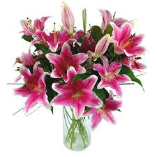 In just one click you can send awesome. Send Sensation Lilies For Uk Flower Delivery From Clare Florist