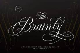 Brainly Script With Ornament 293148 Calligraphy Font Bundles In 2021 How To Make Ornaments Luxury Font Script