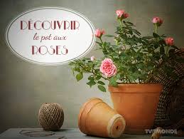 Decouvrir Un Secret Ou La Verite French Expressions French Language French Language Lessons
