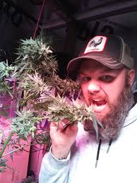 WE ARE MMJ FRIENDLY* Moonrock Eddies Dispensary from Tecumseh will be here  loaded up with flower, edibles, etc to keep your trip to The Ravine L I T  🔥