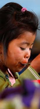 Revisión de la etapa de diagnóstico conforme la metodología de gestión por  resultados