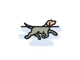 Swimming Dog Dog Icon Dog Walking Logo Dog Drawing