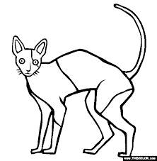 10 best warrior cats here is a small collection of cute cat coloring pages for kids that will ensure your that he has an amusing time as he remembers his favorite furry little friend. Cats Online Coloring Pages