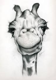 111 Fun And Cool Things To Draw Right Now Giraffe Art Cool Drawings Animal Drawings