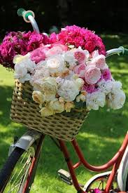 Bike Of Roses Bike Basket Basket Wicker Basket Rose Flower Basket Pretty Flowers Flowers Flower Arrangements