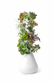 Maybe you would like to learn more about one of these? Lettuce Grow Review Grow Up To 36 Plants In 4 Square Feet
