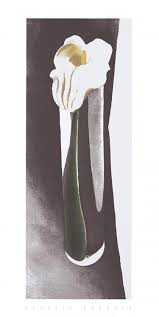 Check spelling or type a new query. Calla Lily In Tall Glass 1923 O Keeffe Georgia