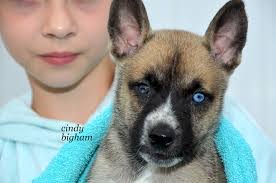 Bianca Bunch's Instagram, Twitter & Facebook