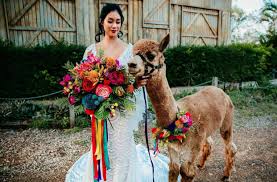 Visit our factory direct showroom in melbourne. Wedding Flowers Ginger Says