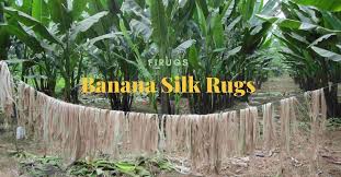 This fiber looks like bamboo fiber. What Is Banana Silk Rug And Carpet Banana Silk Yarn Rugs