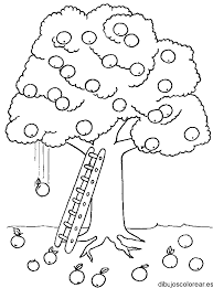 Color naranja descarga e imprime estos color naranja de forma gratuita. Dibujo De Un Arbol De Naranjas