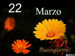 Un confortevole hotel 2 stelle a gestione familiare. 22 Marzo Besti It Immagini Divertenti Foto Barzellette Video