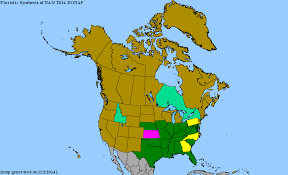 Image result for Cynanchum gerrardii