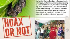 We did not find results for: Virus Kelelawar Di Daun Pisang Tewaskan Satu Keluarga Ini Faktanya