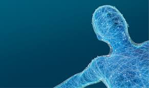 The highest concentration of coq10 is in the organs that require this state of equilibrium is necessary and how your body benefits from coq10. Ubiquinol And Coq10 What Are The Benefits Nature S Best