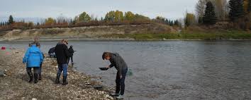 The monte lake location has been producing minerals for decades, heisterkamp said. Field Trips Crlc