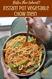 Vegetable lo mein with tofu is a super easy weeknight dinner with assorted veggies and ready in 30 minutes! Vegetable Chow Mein Video Recipe Thebellyrulesthemind