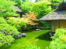Pin On Japaneese Garden