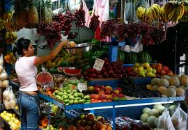San jose costa rica is a lively city in the middle of paradise. San Jose Travel Guide What To Do In San Jose Rough Guides