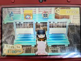 Animal Crossing New Leaf