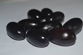 Image result for Canarium schweinfurthii