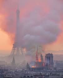 Cathedrale Notre Dame De Paris Notre Dame De Paris Cathedrale Image Paris Cathedrale
