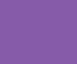 The hexadecimal rgb code of magenta (pantone) color is #d0417e. Royal Purple 865ba9 Rgb 134 91 169 Color Informations