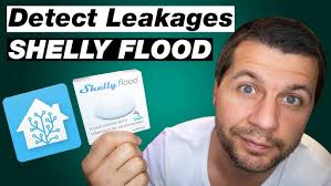 HOME ASSISTANT SHELLY FLOOD