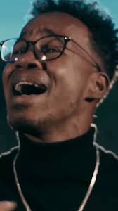 Denicher Pol Inexplicable Cover