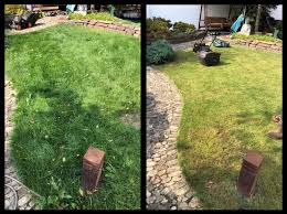 Gartner Fur Koln Umgebung Ihr Gruner Daumen Kiril Grigorov Grune Landschaft Traumgarten Rasenpflege