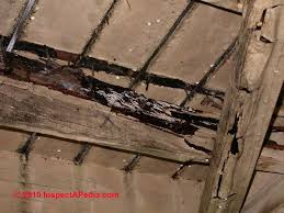 Check spelling or type a new query. Rot Resistant Lumber Choices For Deck Framing Deck Or Porch Floors